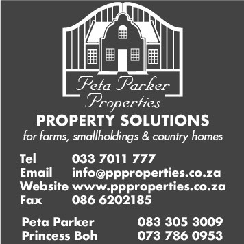 Peta Parker Properties