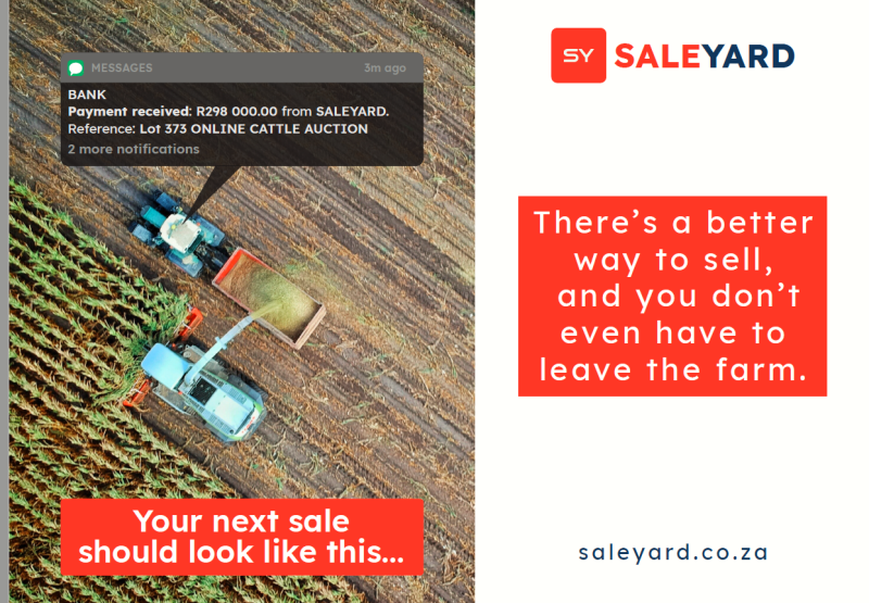 Saleyard Digital Auctions
